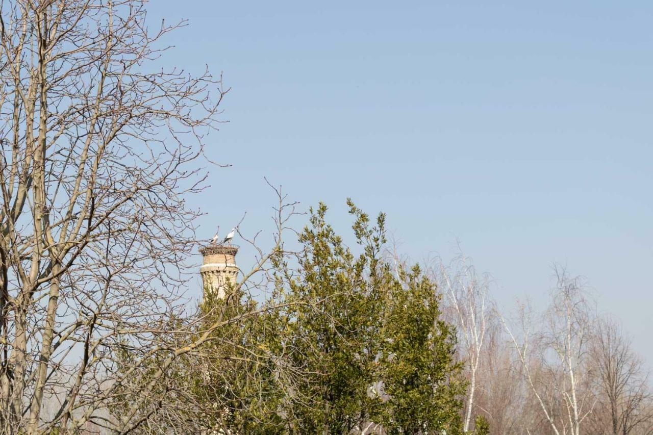 Centro Historico - Muralla Revellin Logroño Esterno foto